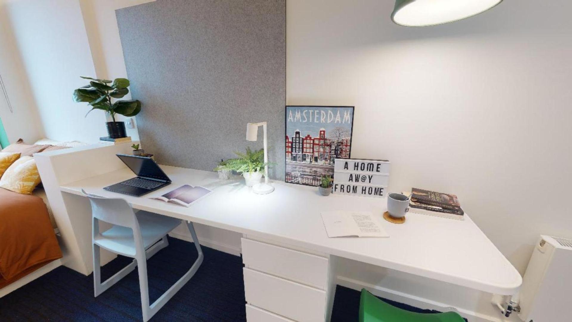 Stunning And In Iq Exclusive For Students * Brighton