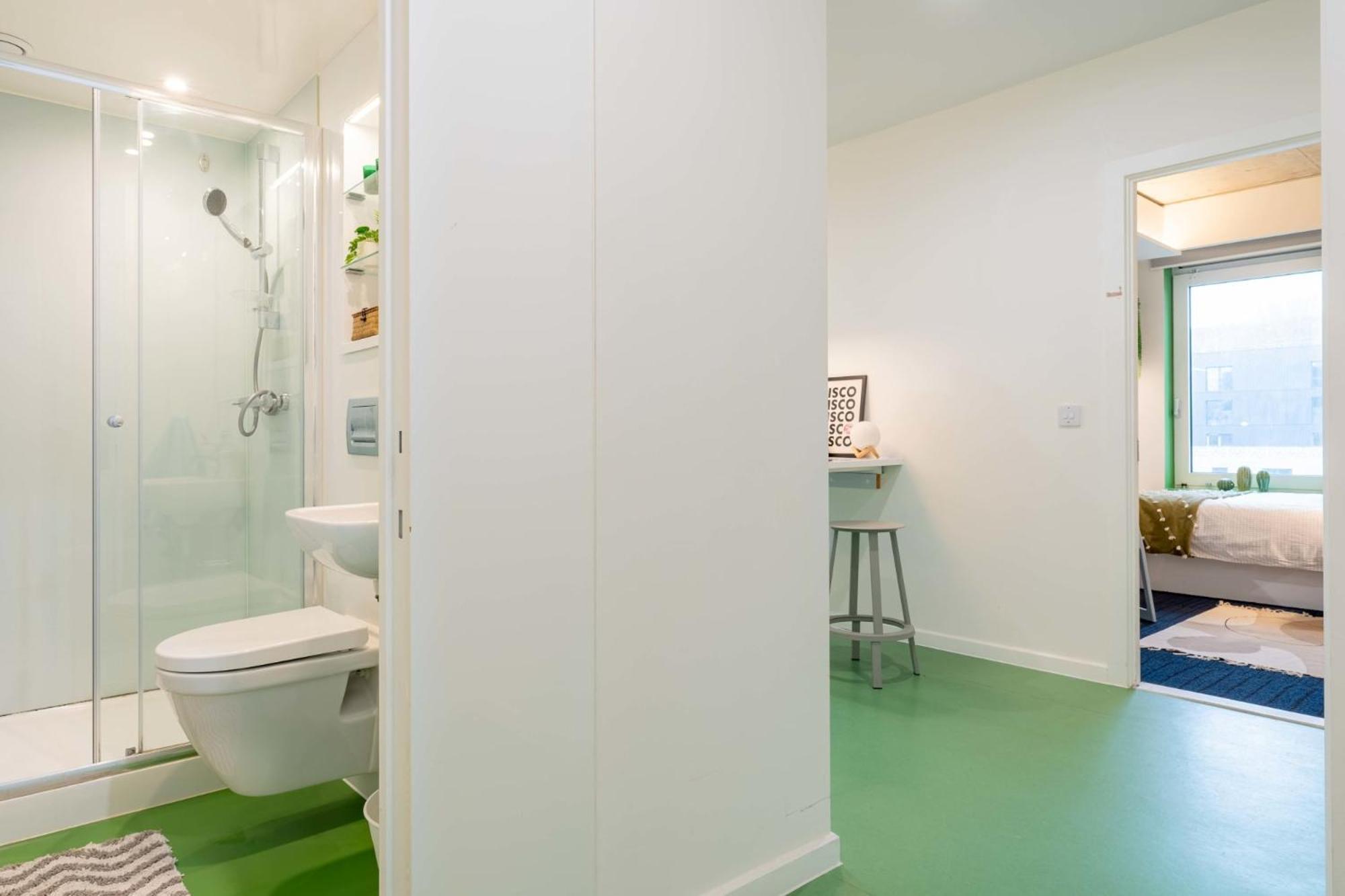 Stunning And In Iq Exclusive For Students Brighton