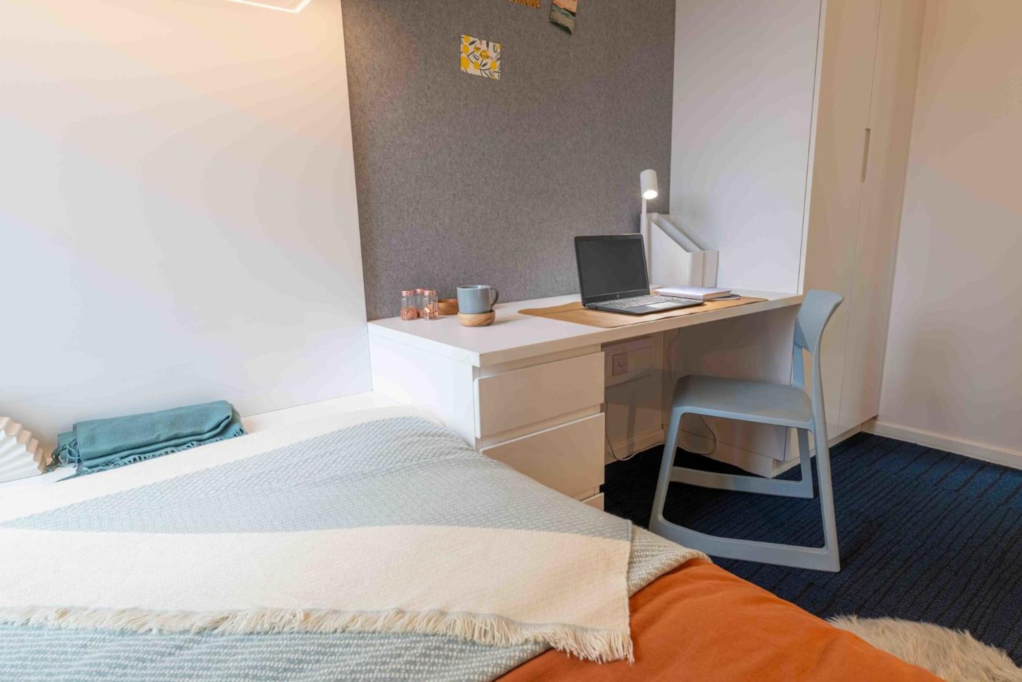 Apartment Stunning And In Iq Exclusive For Students