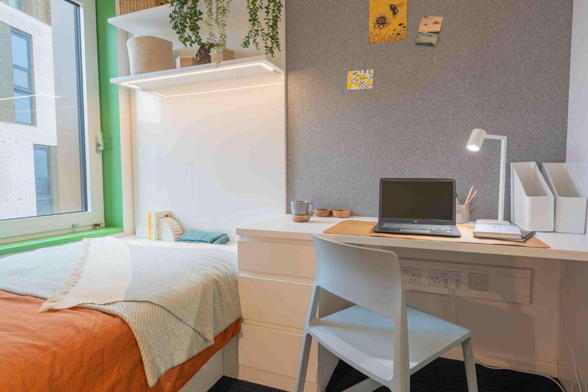 Stunning And In Iq Exclusive For Students Apartment