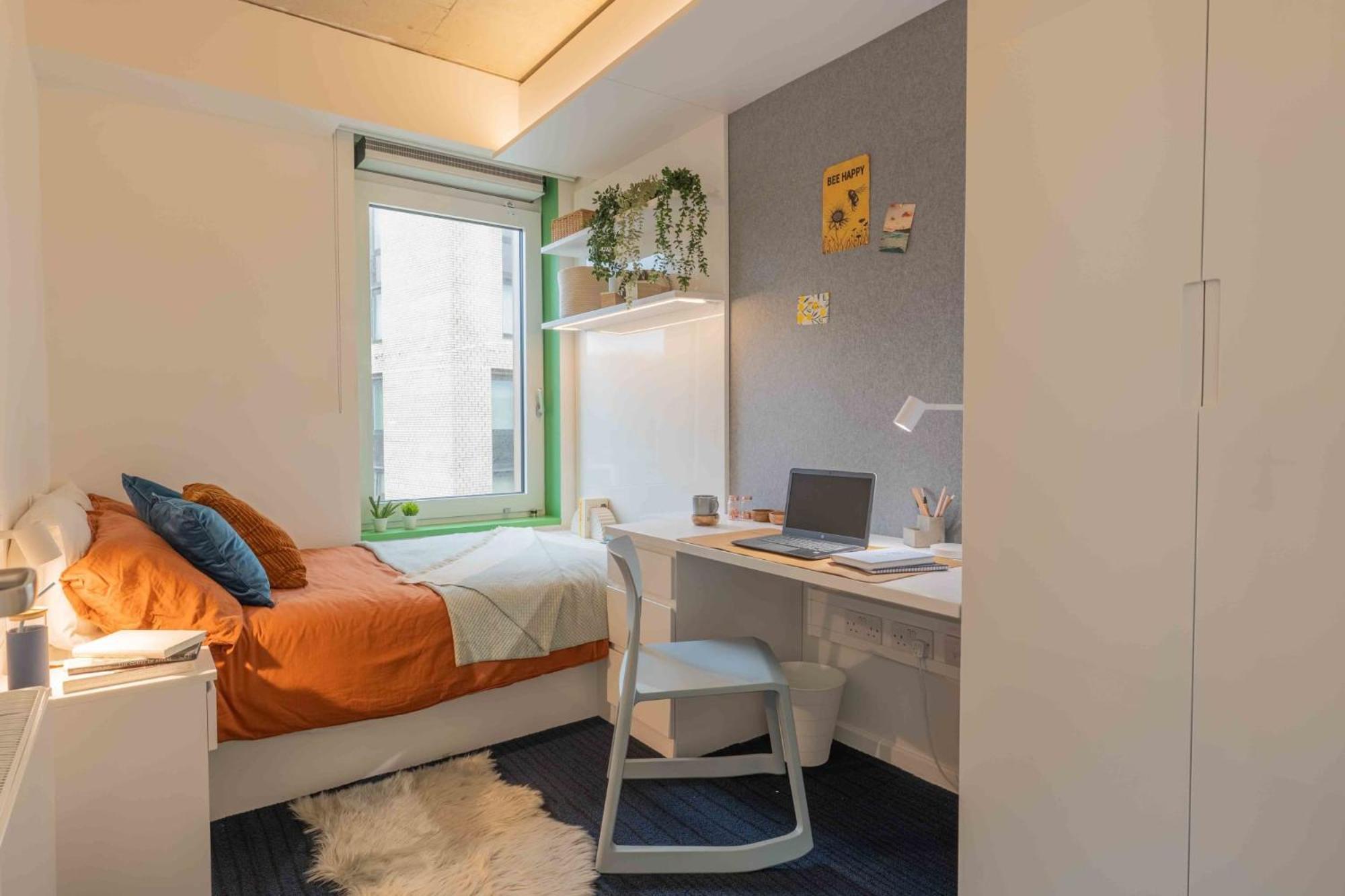 Stunning And In Iq Exclusive For Students * Brighton